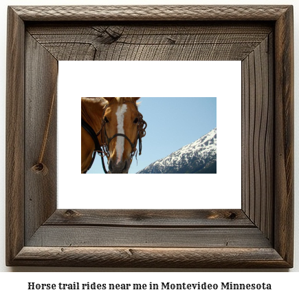 horse trail rides near me in Montevideo, Minnesota